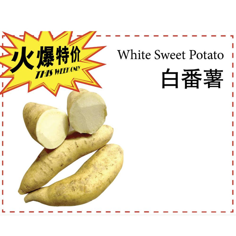 白皮 白肉 番薯 2.8-3.0LB