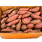 中小条 栗 子 番薯（地瓜）1.8-2.0 LB