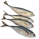 本周特价 - 鳀鱼  1.8-2.0LB