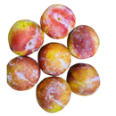 水果李子系列 - 小红李（红蛇蛋） 1.8-2.0LB