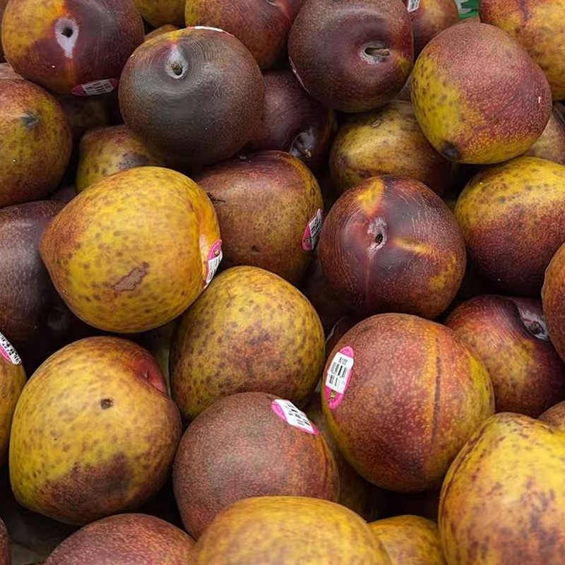 水果李子系列 - 青红李 1.8-2.0LB