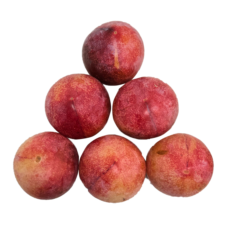 水果李子系列 - 大红李 1.8-2.0LB