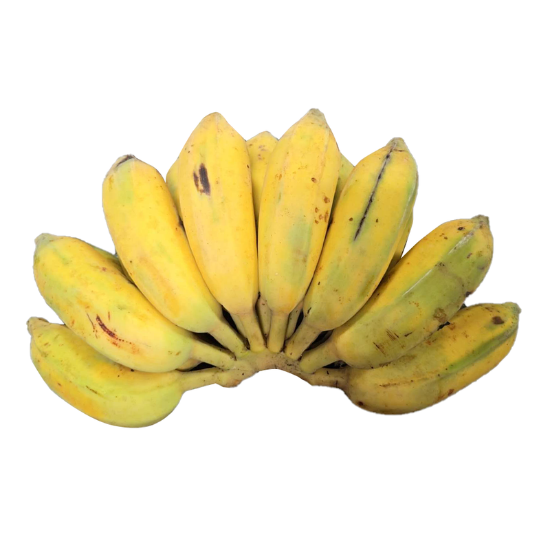本周特价-泰国芭蕉 （粉蕉/米蕉）1.8-2.0 LB