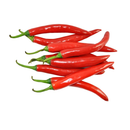红小辣椒(朝天椒)  EA
