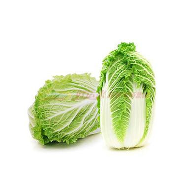 绍菜(大白菜) 1 颗 5.0-6.0LB – 好運來超級市場 - MA & RI 店