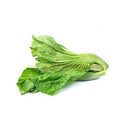 IMAGE FOR 大芥菜