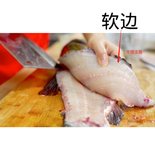 花火　 魚　中国製 楽天市場】【公式】【一年保証】BAKUSHIN 集魚灯 充電式