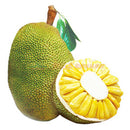 本周特价 - 整个大树菠萝（菠萝蜜） 1个（如果拿到的皮很青很硬，请放几天皮软了再吃） 18-20 LB