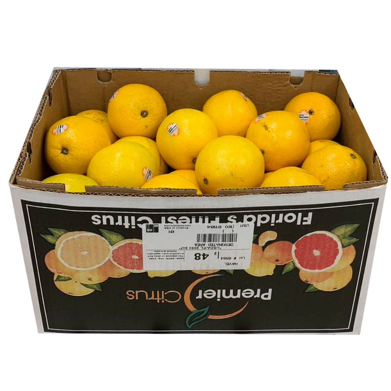 大佛州 甜橙 1 箱 （48个）