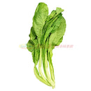 本周特价-小芥菜（春菜）1.8-2.0LB