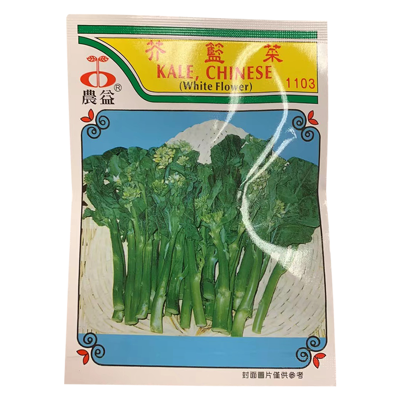 种子系列 - 芥篮菜籽 (Seeds)