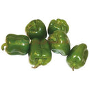 IMAGE FOR 青圆椒