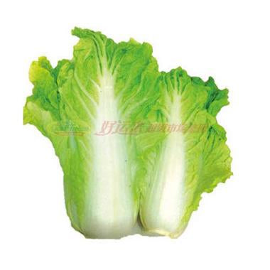IMAGE FOR 皇帝菜
