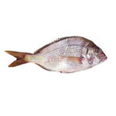 IMAGE FOR 立鱼