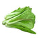IMAGE FOR 台湾白菜