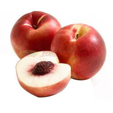 IMAGE FOR 白油桃